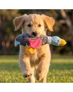 Plush Crinkle  Bird Dog Toy