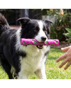 Crunchy Dog Toy Fetch Stick 