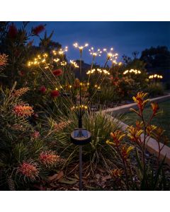 Solar Powered  Decorative Lights