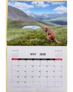 2026 Calendar Dogs Popping In Beautiful Places