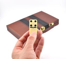 Double Six Dominoes Set