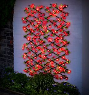 Cherry Blossom Trellis