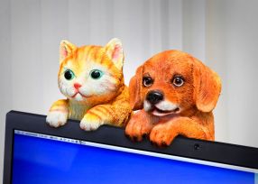 Peek a Boo Puppy and Kitten