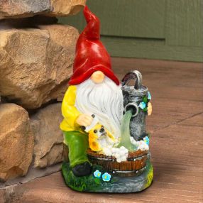 Solar Gnome Pumping water