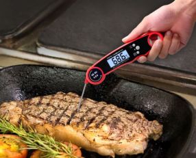 Digital Meat Thermometer  