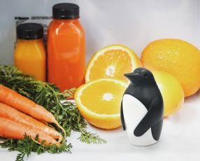 Fresh Fridge Penguin