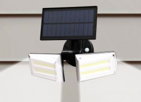 Deluxe Dual Security Light