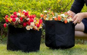 Eco Grow Bags 