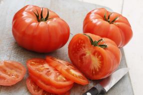 Tomato Rouge de Marmande